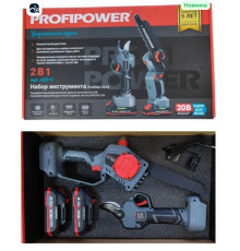 Набор цепная пила+садовый секатор Е0217//Profipower