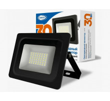 Прожектор светодиодный 30Вт, 6500К IP65//IONICH