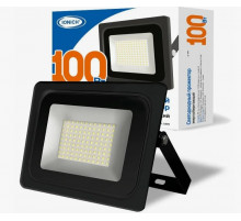 Прожектор светодиодный 100Вт, 6500К IP65//IONICH