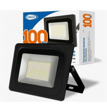 Прожектор светодиодный 100Вт, 6500К IP65//IONICH